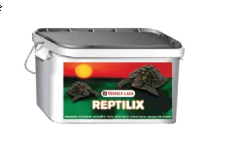 Reptilix, tartarughe da terra